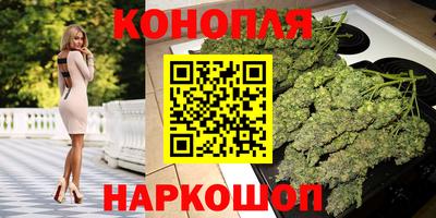 гидра Будённовск