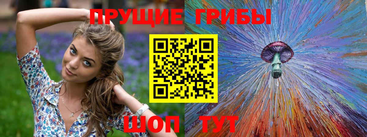 Галлюциногенные грибы Psilocybe Фурманов