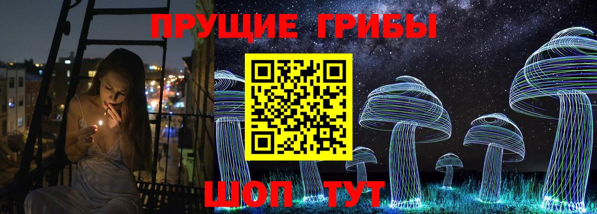 Псилоцибиновые грибы прущие грибы  Вход с VPN  Фурманов 