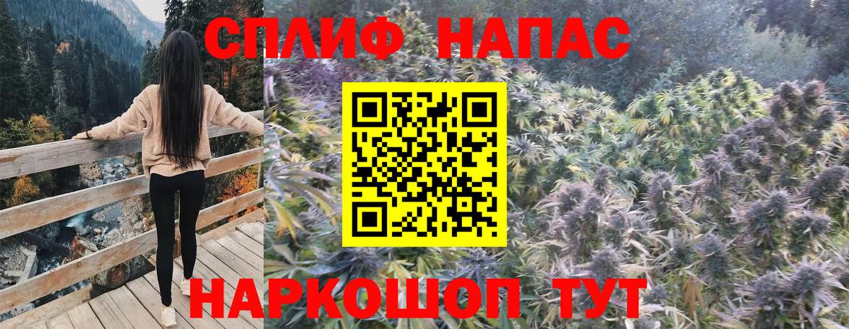 Конопля White Widow Фурманов